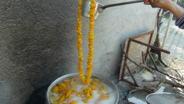 Kilosu 20 TL'ye satılıyor! Adana'da kadınlar yapıyor geçim kaynağı oldu - Resim: 0