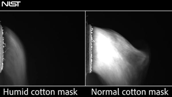 ABD’den kritik maske araştırması! Pamuk maskeler Kovid-19'a karşı güvenli - Resim: 0