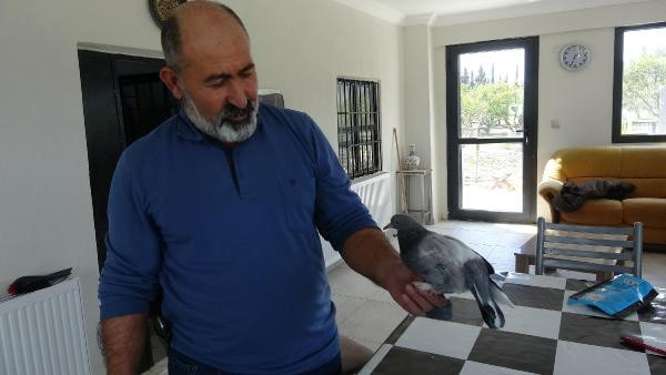 Aydın'da milyonda bir görülen olay: İlk kez böylesini gördüm - Resim: 1