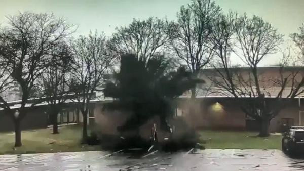 ABD’de korku dolu anlar! Okul bahçesinde yıldırım düşen ağaç ikiye ayrıldı - Resim: 0