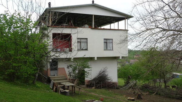 Samsun'da tarlada lahana toplarken dehşet! Feryatları yürek dağladı - Resim: 1