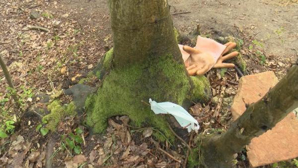 Belgrad Ormanı'nda define avı! Devasa çukur şaşkına çevirdi - Resim: 1