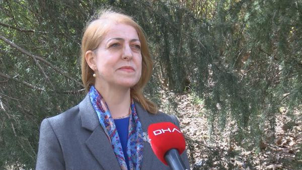 İstanbul için ürperten sözler: Bütün özellikleri değişecek - Resim: 0