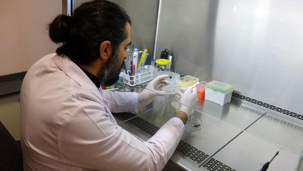 Düzce'de çalışma başlatıldı kilosu 3 bin TL! 'Bunu yetiştirsek dünyada ilk olacağız' - Resim: 0