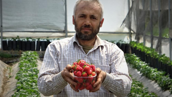 Bursa'da 2 bin 500 kilo üretti! 15 liradan yok satıyor - Resim: 0