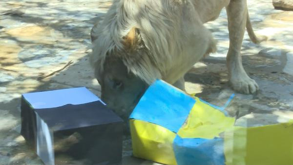 Kâhin Beyaz Aslan Pamuk’un şampiyonluk tahmini: Fenerbahçe - Resim: 0