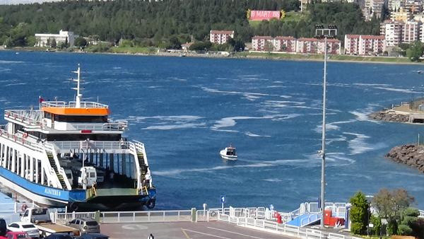 Rüzgar durdu, Çanakkale Boğazı'nı yine deniz salyası kapladı - Resim: 0