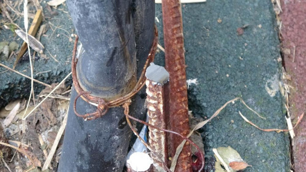 Samsun'da korkunç olay! Küçük çocuğun çığlıklarını duyan koştu - Resim: 1