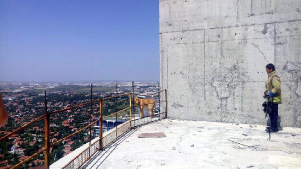 İstanbul'da 36. katta 10 gün bekledi! Gelen ekipler inanamadı - Resim: 0
