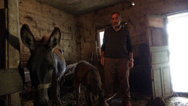 Litresi 100 TL'den satılıyor! Zonguldak'ta vatandaşlar sıraya girdi - Resim: 0