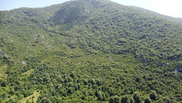 Bartın'da çay içerken her şey bir anda oldu: İlk kez böyle bir şey yaşadık - Resim: 1