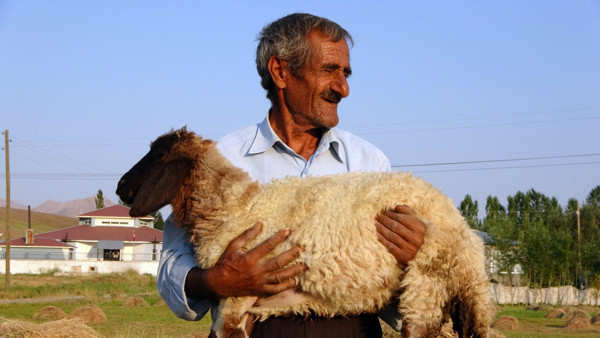 Hakkari'de 2 gece bekledi! Bataklığa saplanınca hayatı değişti - Resim: 0