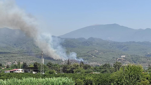Hatay'da orman yangını çıktı! Ekipler harekete geçti - Resim: 0