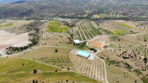 Vergi rekortmeni iş adamı İstanbul'u terk edip Elazığ'da köyüne döndü! 28 bin tane.. - Resim: 1