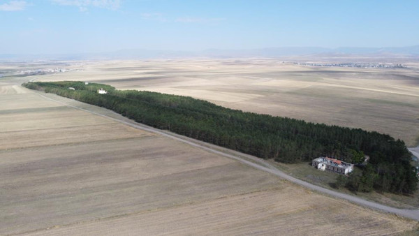 Kars'ta bozkırın ortasındaki ‘vaha’ görenleri büyüledi! 53 yıl önce... - Resim: 0