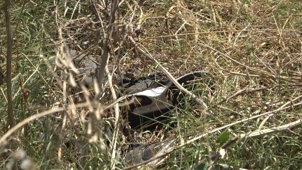 Bursa'da  yol kenarında görünce şok oldu! Ekipler harekete geçti - Resim: 0
