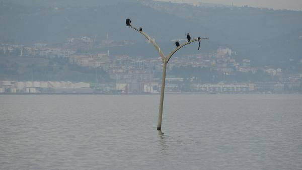 Olası İstanbul depremi! Prof. Dr. Oruç: Kocaeli'deki binaların yıkılma olasılığı yüksek - Resim: 0