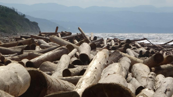 Sinop'ta denizden 3 ceset çıkarttılar: Uyuyamıyoruz, çok acı bir durum - Resim: 0