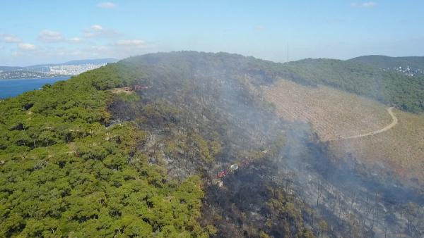 Heybeliada'da yangın çıktı! Herkesin en büyük korkusu gerçek oldu işte son durum - Resim: 0