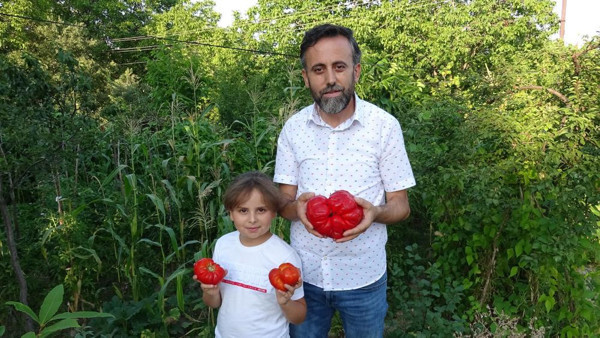 Karabük'te bahçeyi gezerken fark etti! 1 kilo 372 gram ağırlığında - Resim: 0