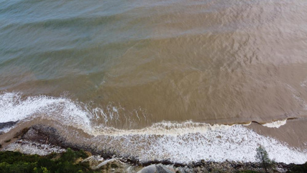 Kastamonu'da afet bölgesinde salgın hastalık arttı! Yasak kararı geldi - Resim: 1