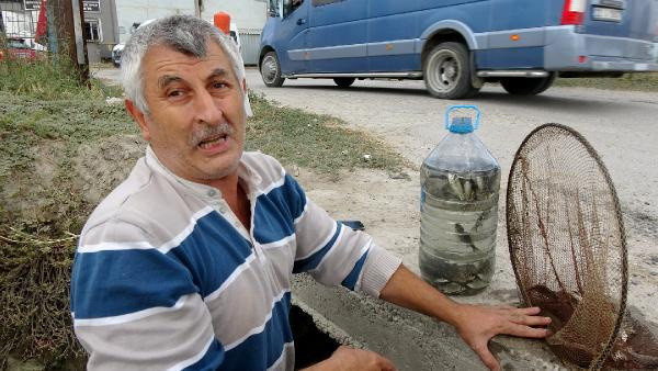 Edirne'de tesadüfen kanalda gördü! Tek tek pet şişelere doldurdu - Resim: 0