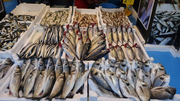 Tezgahlar doldu taştı ama müşteri yok! İşte balık fiyatları... - Resim: 0