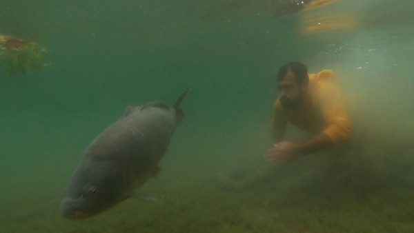 Sakarya'da sezonun rekorunu kırdı! Gören telefona sarıldı: 23 kilo - Resim: 2