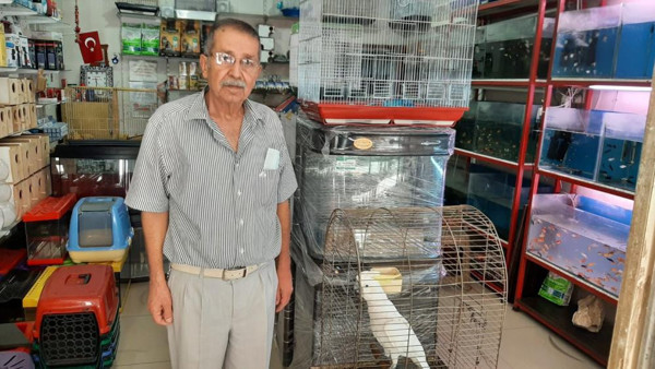 Osmaniye'de bu papağanın yaşını duyanlar şaşırıyor! Caddenin sembolü oldu - Resim: 0