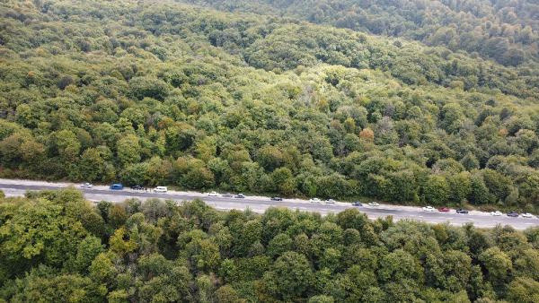 Bartın'da kestane için uzun araç kuyruğu oluştu - Resim: 0