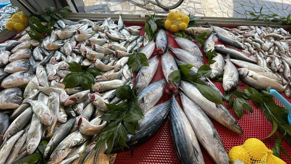 Hamsi azaldı, palamut tezgahtaki yerini aldı! İşte balık fiyatları... - Resim: 0