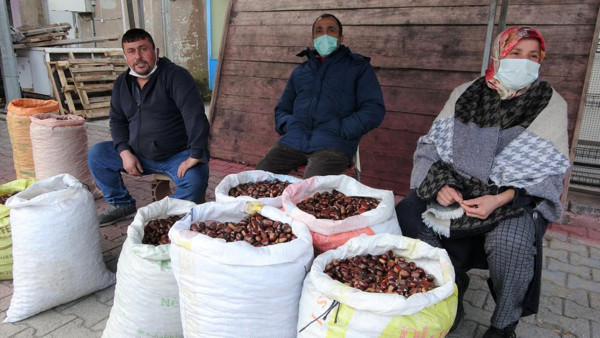 Üreticide 5 TL büyükşehirde 40 TL! Sinop'ta rekolte patlama yaptı: Yiyen doymamış satan olmamış - Resim: 0