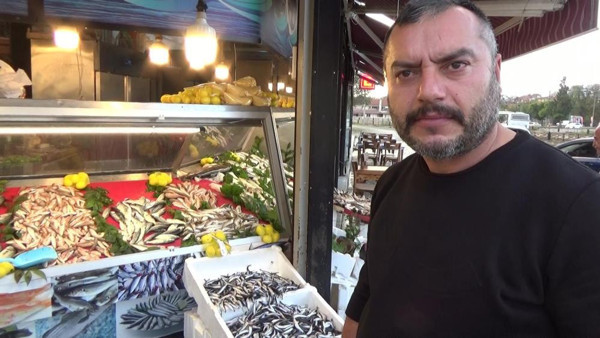 Hamsinin boyu 13 cm'ye çıktı! Vatandaş tezgaha koştu: İşte fiyatı... - Resim: 0