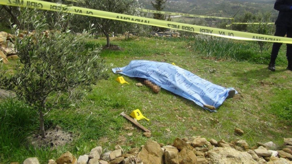 Antalya'da ağaç yüzünden kardeşini öldürdü! Cezası belli oldu: Son sözü... - Resim: 2