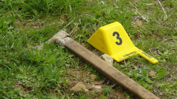 Antalya'da ağaç yüzünden kardeşini öldürdü! Cezası belli oldu: Son sözü... - Resim: 3