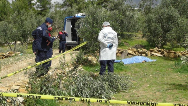 Antalya'da ağaç yüzünden kardeşini öldürdü! Cezası belli oldu: Son sözü... - Resim: 0