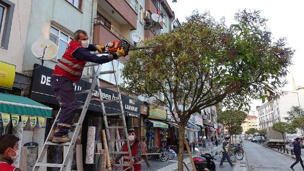 Düzce'de gören şaştı kaldı! Bu fotoğraf sosyal medyada gündem oldu - Resim: 0