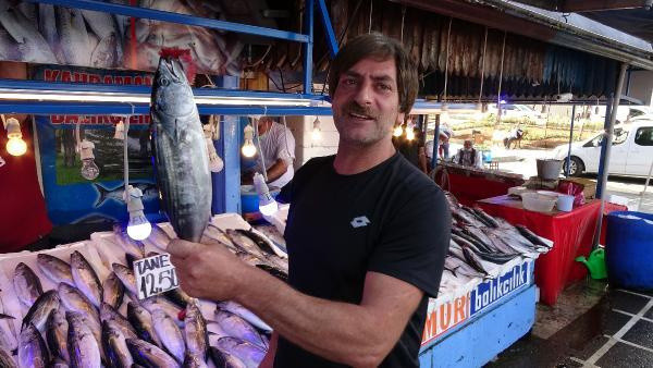 Palamut tezgahta erken tükendi! Rize'de fiyatlar yüzleri güldürmedi - Resim: 1