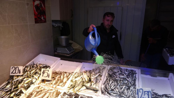 Trabzon'da hamsi bollaştı fiyatlar yüzleri güldürdü: Şuanda gerçekten çok ucuz - Resim: 0