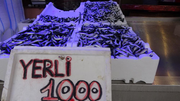 Hamside son 10 yılın en verimli sezonu! Fiyatlar düştü vatandaş doydu - Resim: 0