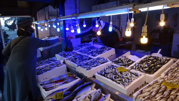 Balık fiyatları yükselişe geçti! Tezgahlar yüzleri güldürmedi - Resim: 1