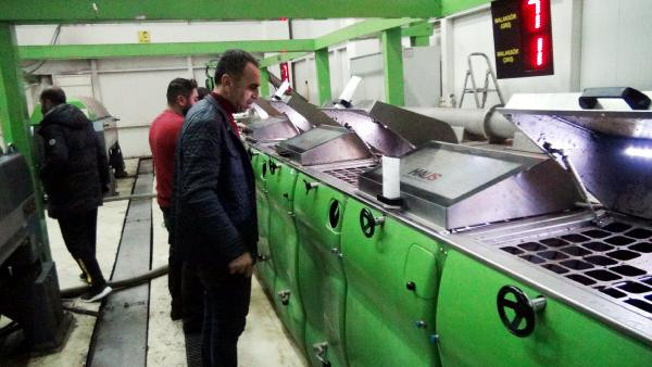 Hileli zeytinyağına dikkat! Uzmanı açıkladı: Hızlıca eriyorsa sahtedir - Resim: 0