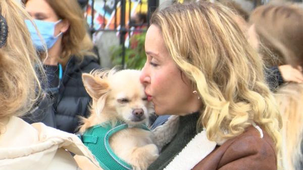 İstanbul'da hayvanseverler eylem yaptı: Kimseye zararı olmayan hayvanları topluyorlar - Resim: 1