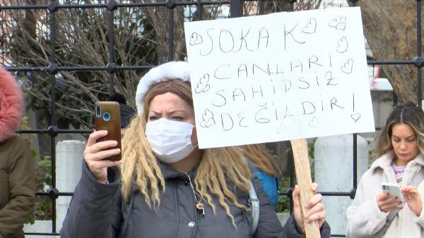 İstanbul'da hayvanseverler eylem yaptı: Kimseye zararı olmayan hayvanları topluyorlar - Resim: 0