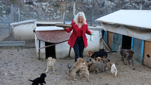 Konya'da 500'e yakın köpek ve kediyi besliyor: Annelik yapıyorum, artık zorlanmaya başladım - Resim: 0