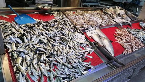 '45 senedir balıkçıyım tezgahta balık yok' isyanı! Balık fiyatları cepleri yaktı - Resim: 0