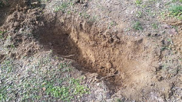 Antalya'da vahşet! Kıskançlık yüzünden arkadaşını öldürüp cinsel organını kesti - Resim: 1