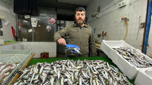 Balık fiyatları yüzleri güldürmedi! Balıkçılar sezon umutsuz kapatıyor - Resim: 0