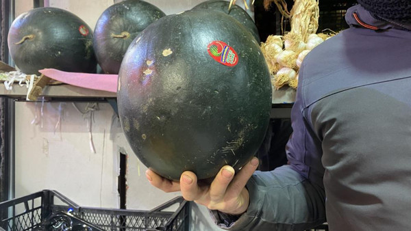 Karpuz tezgahta yerini aldı! Fiyatını duyan inanamadı - Resim: 0