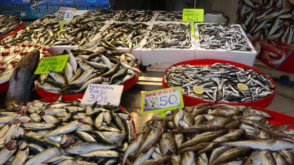 Tezgahta balık çeşitleri arttı ama fiyatları cepleri yaktı! İşte hamsinin fiyatı... - Resim: 0